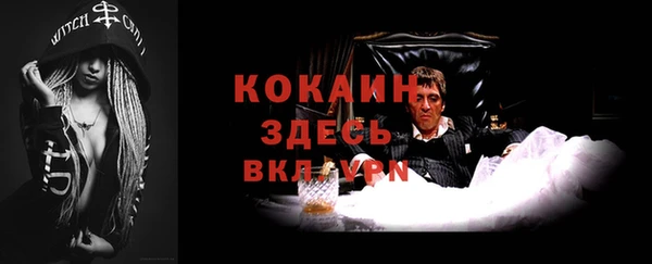 Альфа ПВП Артём